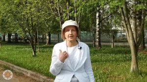 Обережная одежда. Понёва