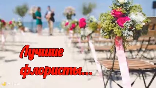 Ведущая свадебного торжества в Крыму Юлия Новикова смотреть онлайн