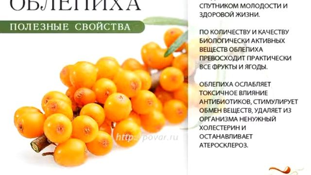 Созрела облепиха, собираем смотреть онлайн