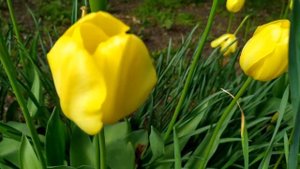 Родственные связи 2. Продолжение 1 - 8 серии | Мелодрама 2021