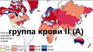 ПСИХОЛОГИЯ КРОВИ -2. Какая кровь, такой и характер.