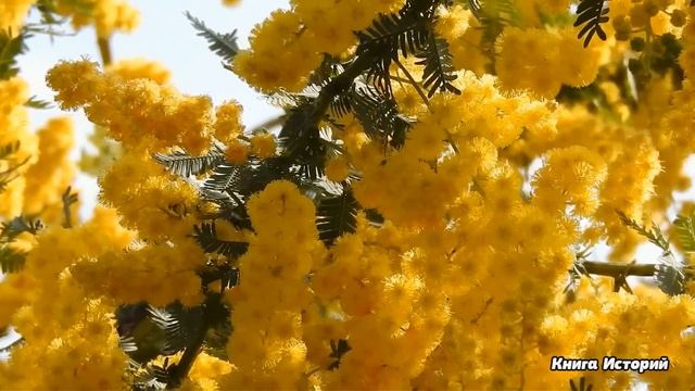 Жена директора ресторана обвинила посудницу с малышом в краже и порвала сироте платье… А когда бога смотреть онлайн