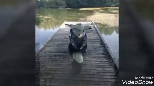 Speedfight 3 und beta 50 r смотреть онлайн