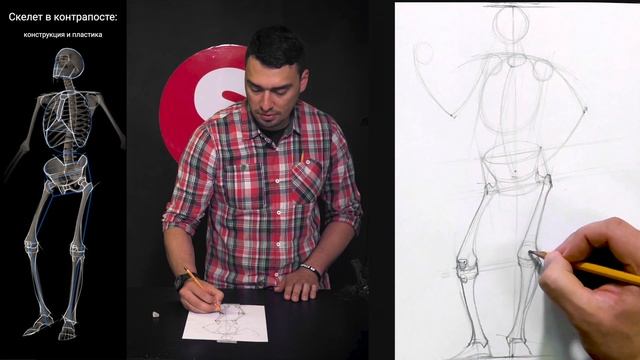 Рисуем СКЕЛЕТ ЧЕЛОВЕКА. Фронтальный ракурс (контрапост). Курс "Рисование фигуры человека"