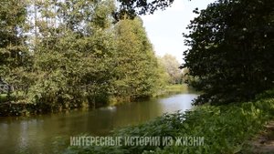 ДАВАЙ БЫСТРО, А С МУЖЕМ НОЧЬЮ РЕШУ. Жизненные истории и аудио рассказы