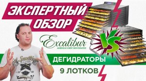 Обзор американских дегидраторов Excalibur на 9 лотков | Аналоговый VS Цифровой