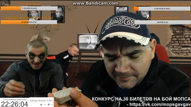 Мопс Общается с VJLinkHero