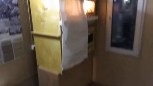 Цветные индюшата 9- дневные переехали в цыплятник
