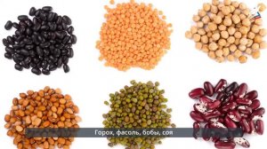 Роль овощей в питании