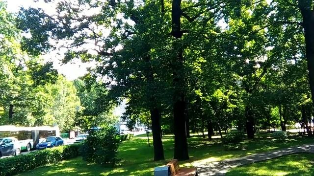 дороги-дороги