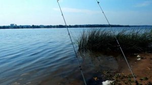 № 18 / Рыбалка с крокодилами / Река Волга / Тверская область / Август