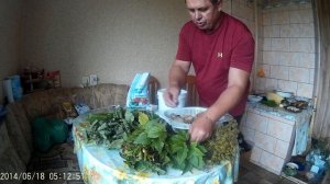 Солим грузди Секрет засолки хрустящих груздей в дубовых листьях (холодный способ засолки)