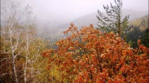 Озеро Моховое, Курьинский район, Алтайский край