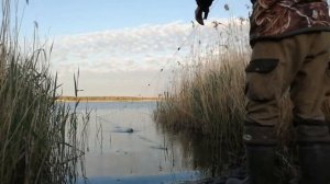 Сеть с берега на резинке. Новый способ ловли. Без улова не будешь!!!