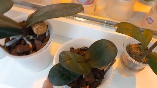 2 июня 2022 г. смотреть онлайн