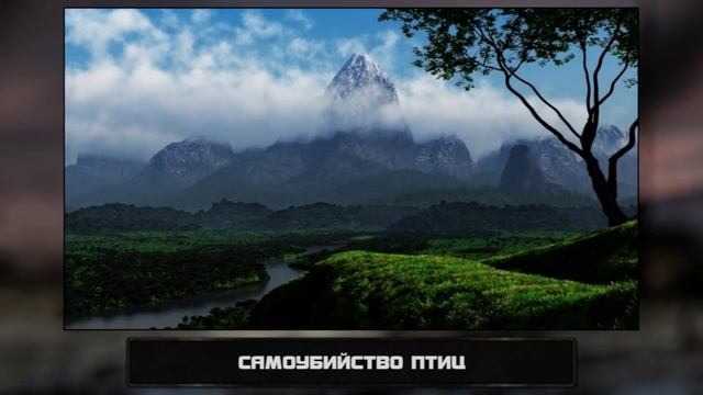 ТОП7 СТРАШНЫХ ПРИРОДНЫХ ЯВЛЕНИЙ смотреть онлайн