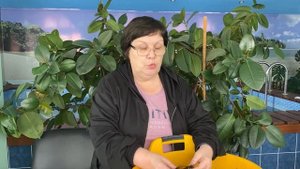 Посадка и хранение пионов весной