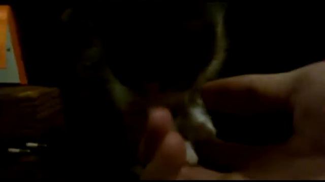 Маленькая няшность :3 смотреть онлайн