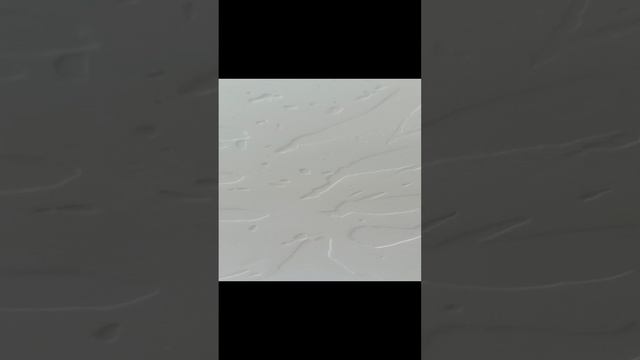 Барельеф лист папоротника (часть 2)