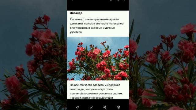 Самые ядовитые растения в мире 😱🌷