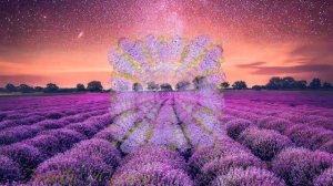 Горная Лаванда