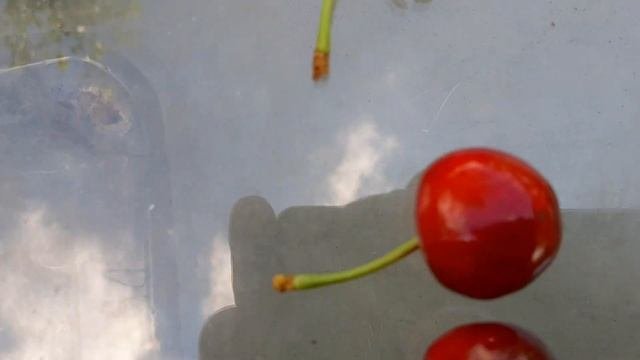 Правильные черешни обзор