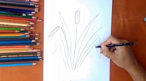 Как нарисовать камыш. Онлайн-школа рисования "Малевашки"
