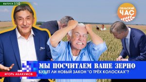 Мы посчитаем ваше зерно. Сельский час #110 (Игорь Абакумов)