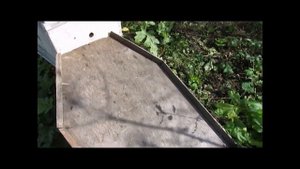 полезное приспособление для работы с пчелами - аэродром для стряхивания пчел.mp4