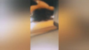 Myrmica rubra содержание и про вид.?