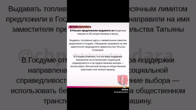 В России предложили выдавать многодетным семьям по 30 литров бензина в месяц