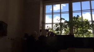 Концерт Александра Ракитина "Лирические пьесы Эдварда Грига"