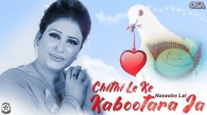 Chithi Le Ke Kabootara Ja - Naseebo Lal Her Best - Superhit Song | official HD video | OSA Worldwid