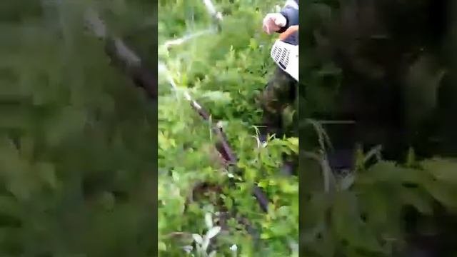 Рыбалка и отдых на Таймыре#РыбалканаСевере#ОтдыхнаТаймыре#