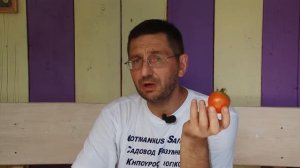 Как хранить помидоры