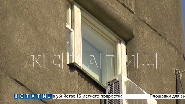 Полдня кокер-спаниэль просидел на кондиционере 9 этажа