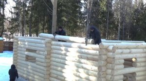 Дом из оцилиндрованного бревна под ключ - все этапы работ . №26