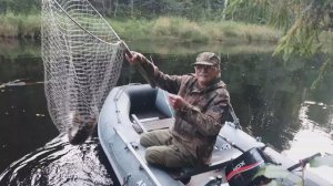 Щука и Адмирал ©20230909