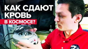 Как врачи следят за здоровьем космонавтов на МКС — видео