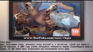 ТОП 10 Животных Которых Можно Воскресить
