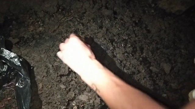 Рыбалка в Узбекистане 540км от Ташкента. смотреть онлайн