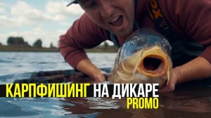 Карпфишинг на дикаре. Wild carp fishing. PROMO