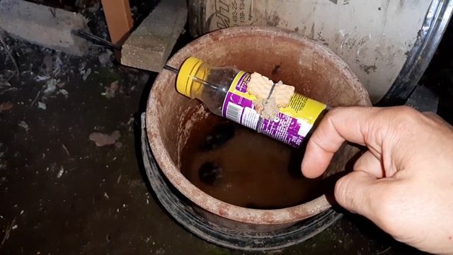 Супер ловушка для мышей. 100% эффективен . смотреть онлайн