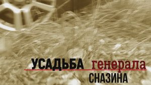 Усадьба Сназина.