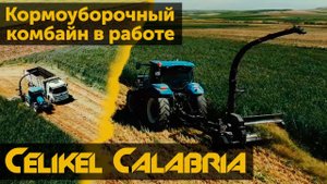 Кормоуборочный комбайн Celikel Calabria в работе.