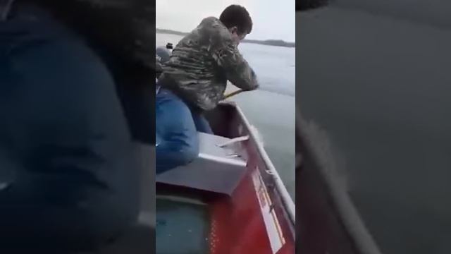 рыба сама лезит в сачек вот это рыбалка смотреть онлайн