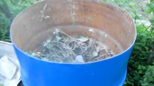 ЧЕМ ПОДКОРМИТЬ помидоры, перец, огурцы. Универсальная супер подкормка.