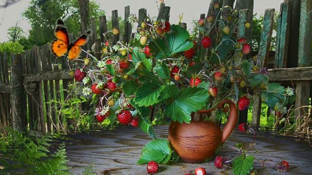 Земляника смотреть онлайн