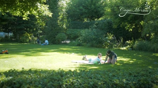 Как растения влияют на человека? Сады Мечты Денис Сафронов смотреть онлайн