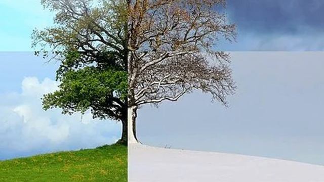 Весна пришла смотреть онлайн